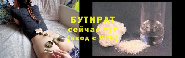 индика Вяземский