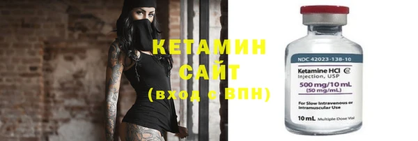 индика Вяземский