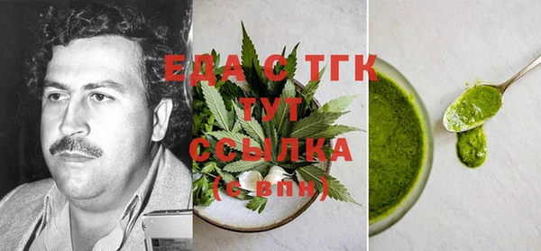индика Вяземский