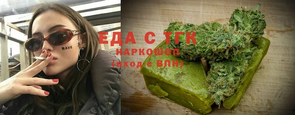 индика Вяземский