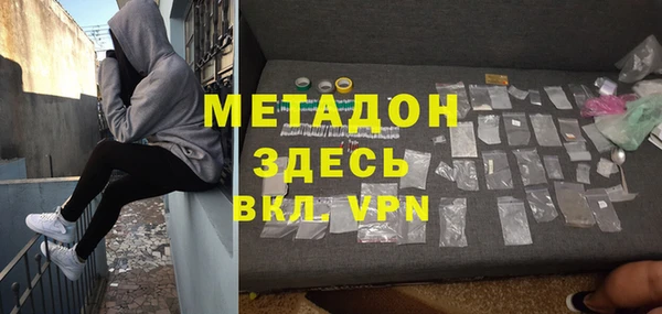 индика Вяземский