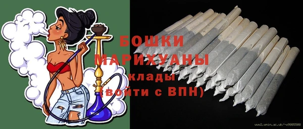индика Вяземский