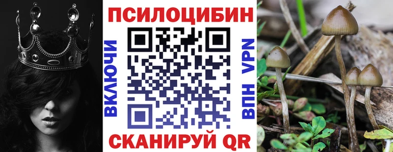 Псилоцибиновые грибы Cubensis Чердынь